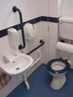 This is a typical view of a contrasting Doc 'M' pack fitted in a disabled WC. Throops have created many WC areas for disabled users. 